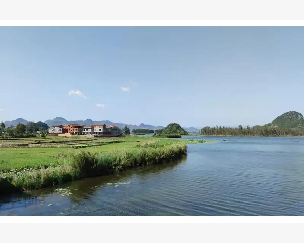 冬日严寒，手脚冰凉怎么办？中医调理带你迎接温暖冬天！