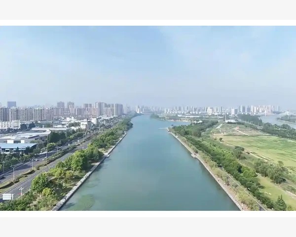 夏天吃什么水果养护脾胃？探索健康之选